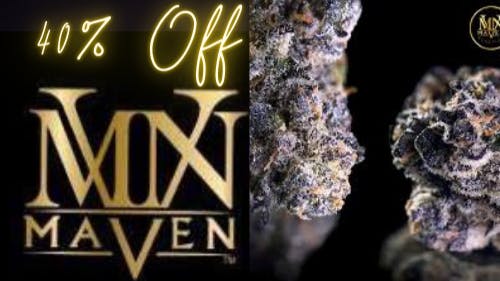 Phenotopia Maven 40% Off