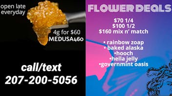 Medusa's Eden - Saco NEW DAILY DEALS