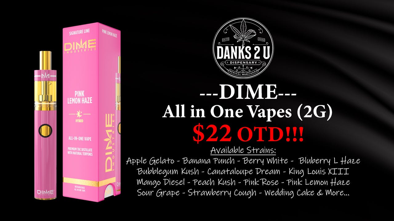 Danks 2 U Dime 2g Disposables ($22 OTD)