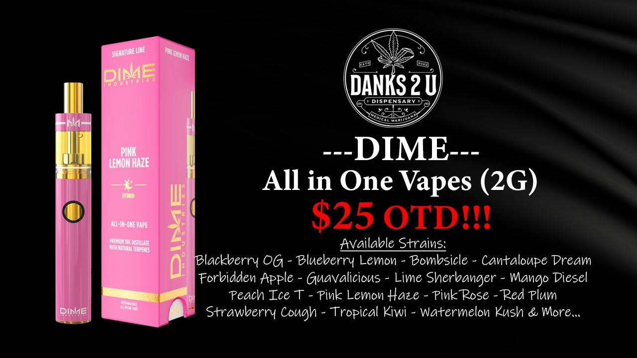 Danks 2 U Dime 2g Disposables ($25 OTD)