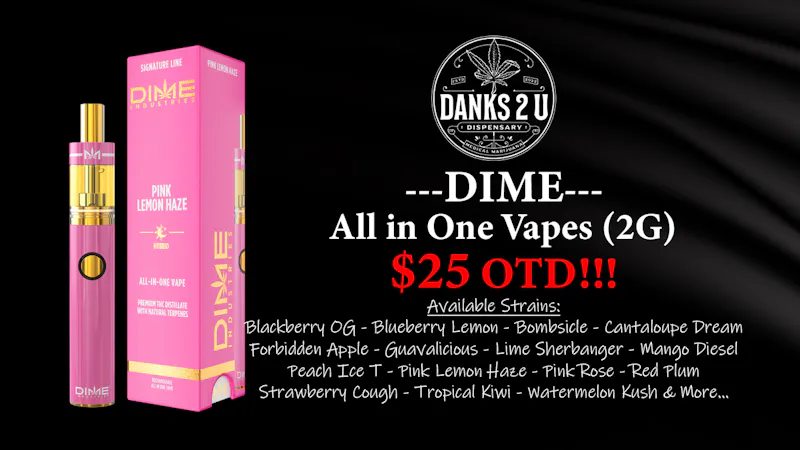 Danks 2 U Dime 2g Disposables ($25 OTD)