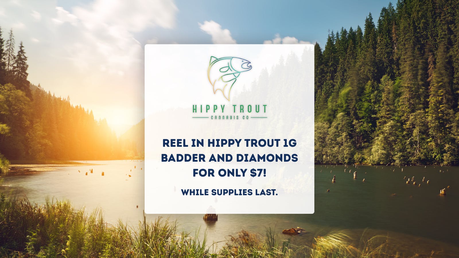 Buds N More Dispensary Hippy Trout Wax Deal 🐟💨