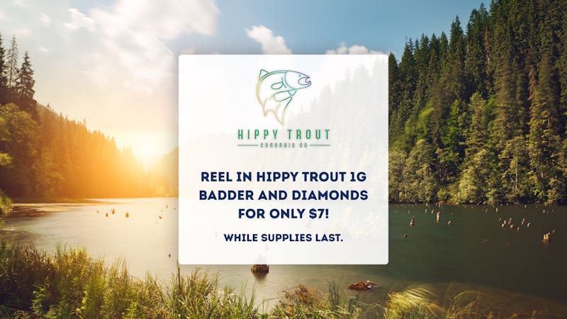 Buds N More Dispensary Hippy Trout Wax Deal 🐟💨