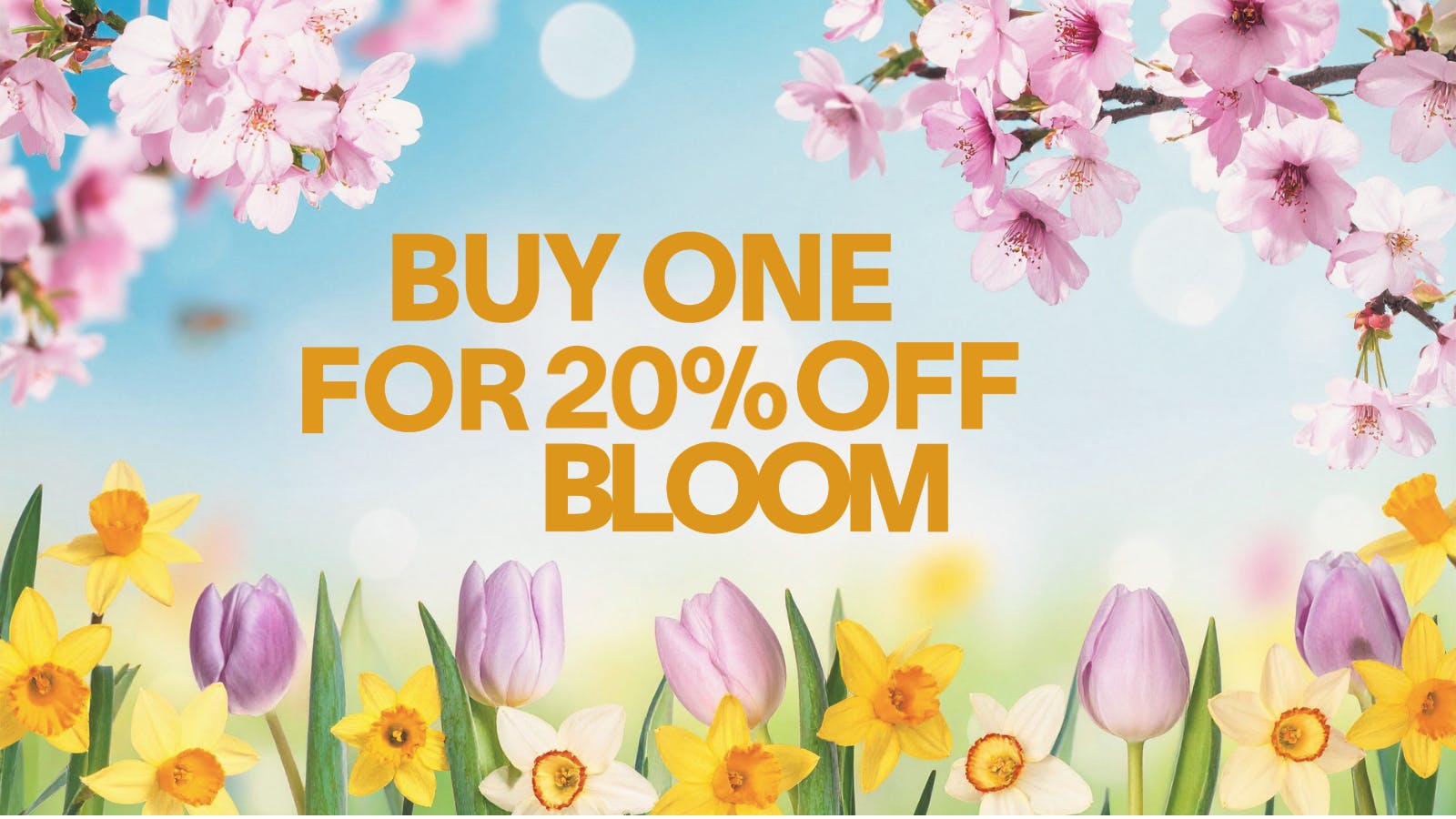 Buds N More Dispensary Bloom 20% OFF Deal!