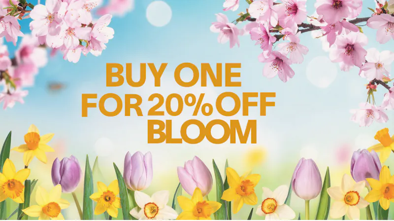 Buds N More Dispensary Bloom 20% OFF Deal!