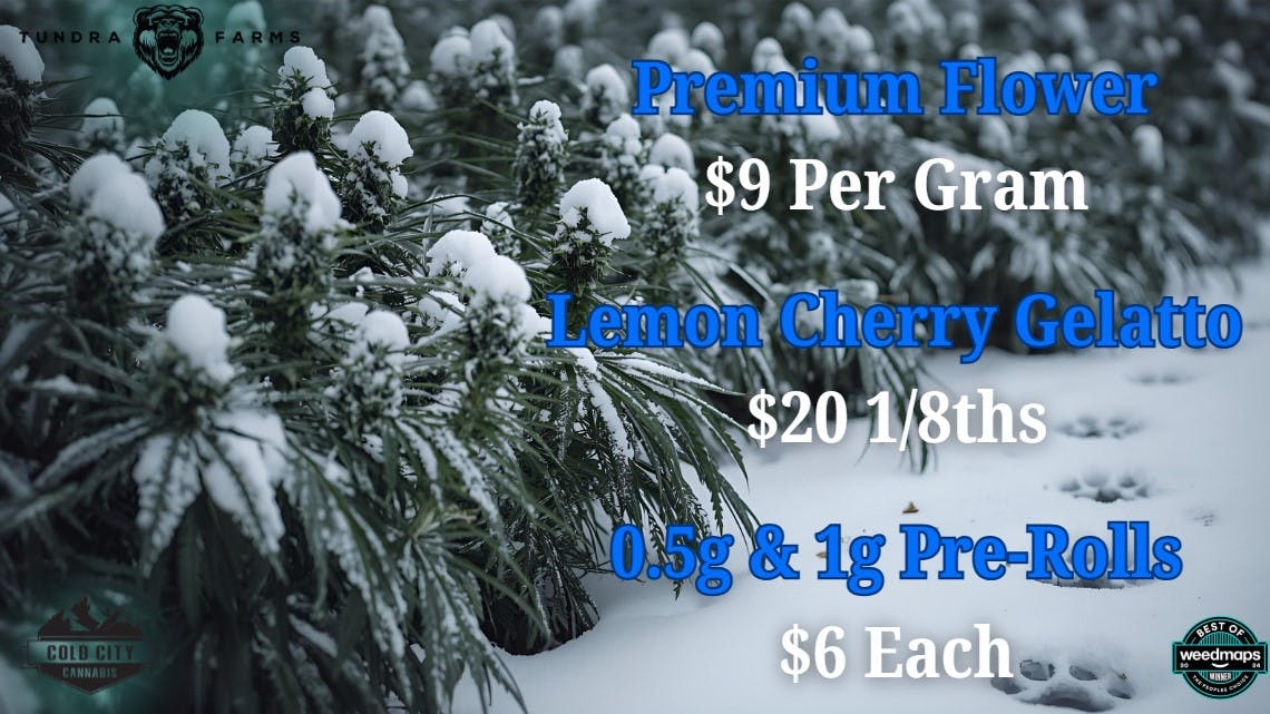 Cold City Cannabis - Anchorage Premium Flower $9 Grams!! All Pre-Rolls $6 Each!!
