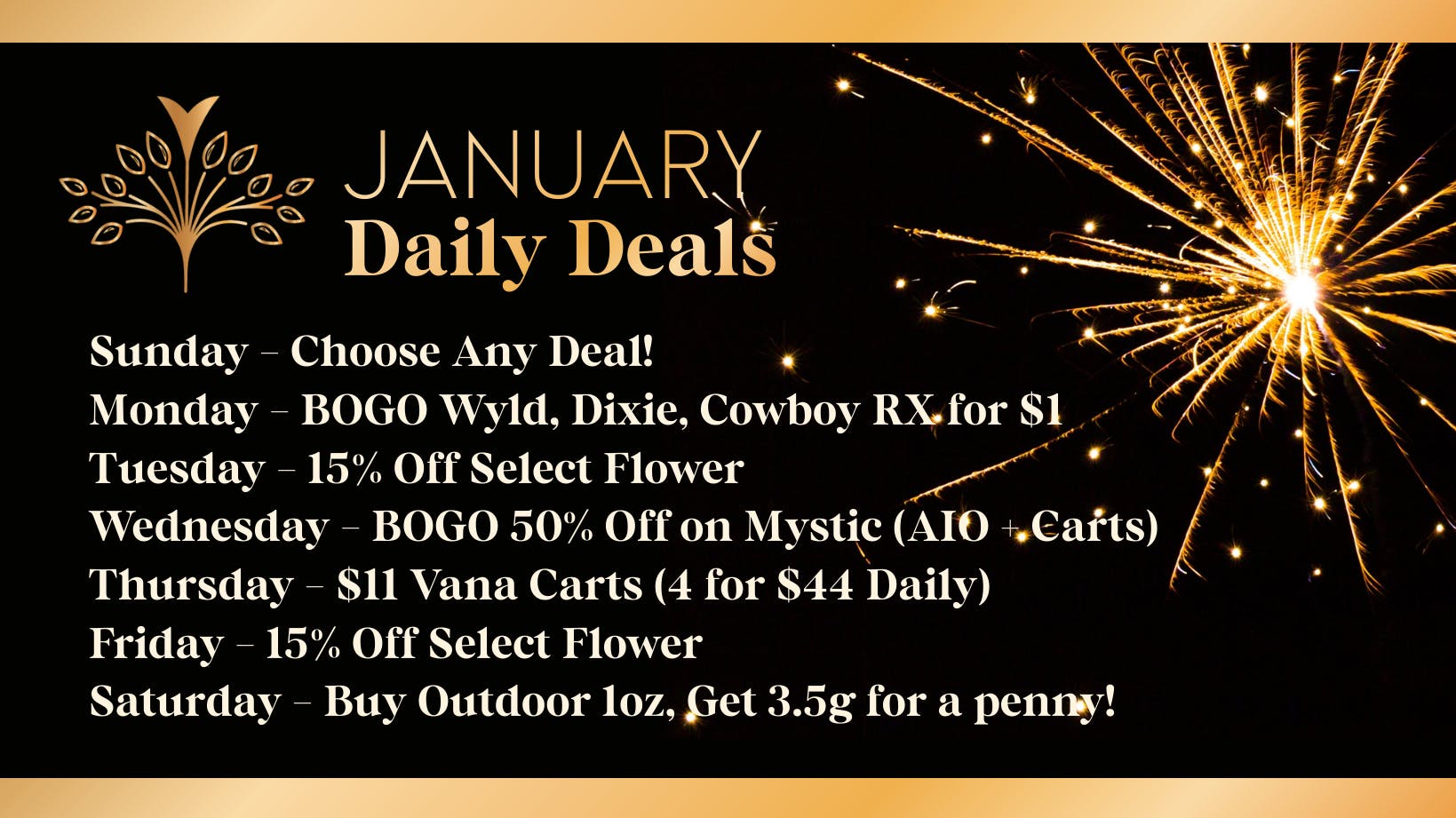 Vana Society - Clovis Happy New Year!