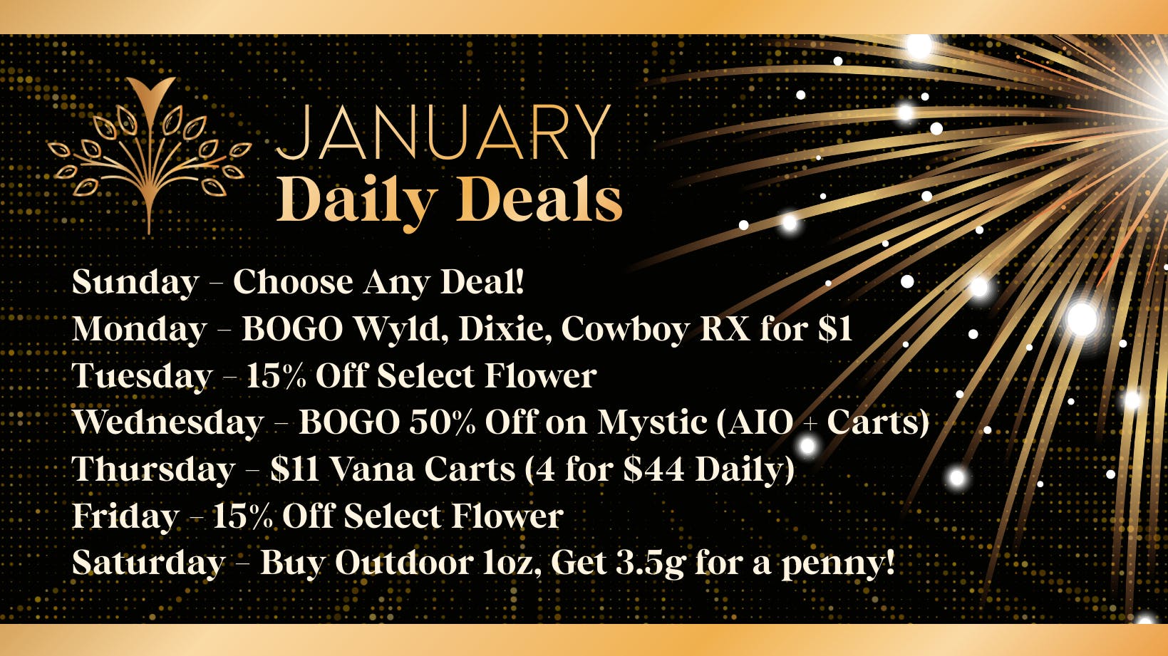 Vana Society - Clovis January Daily Deals!