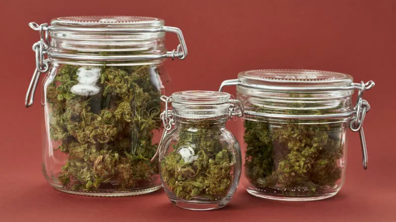 Colfax Cannabis Company Half Off Select Premium 1/8ths!