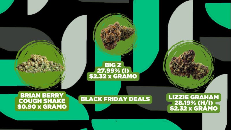 The Grass BLACK FRIDAY AT THE GRASS