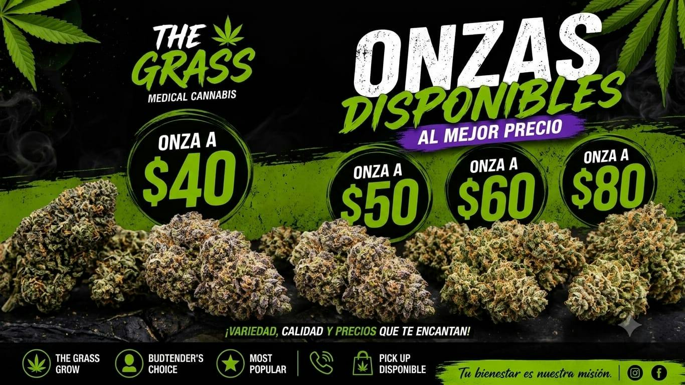 The Grass REGRESA ONZA FEST 2026