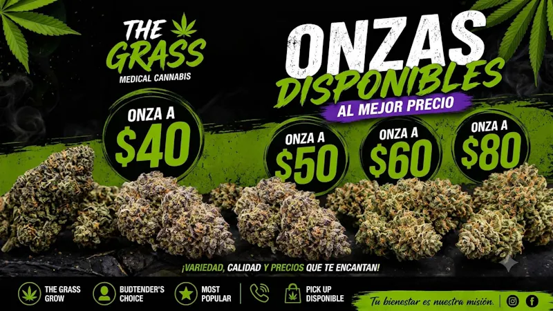 The Grass REGRESA ONZA FEST 2026