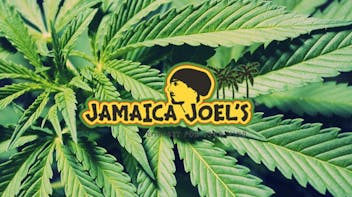 Jamaica Joel's Tropical Tuesday