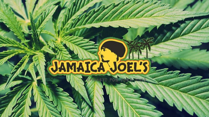 Jamaica Joel's Tropical Tuesday