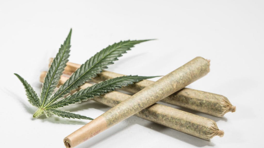 Willow - Pipe and Leaf DOOBIE TUESDAY: BOGO 50% Off J's