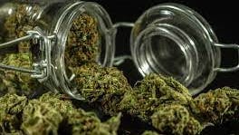 Airport Way - Pipe & Leaf Weednesday $5 off an 1/8th!