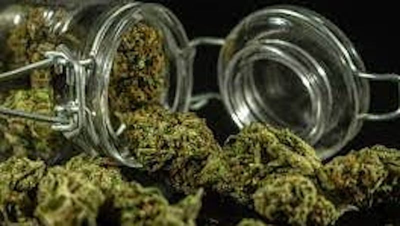 Willow - Pipe and Leaf Weednesday $5 off an 1/8th!