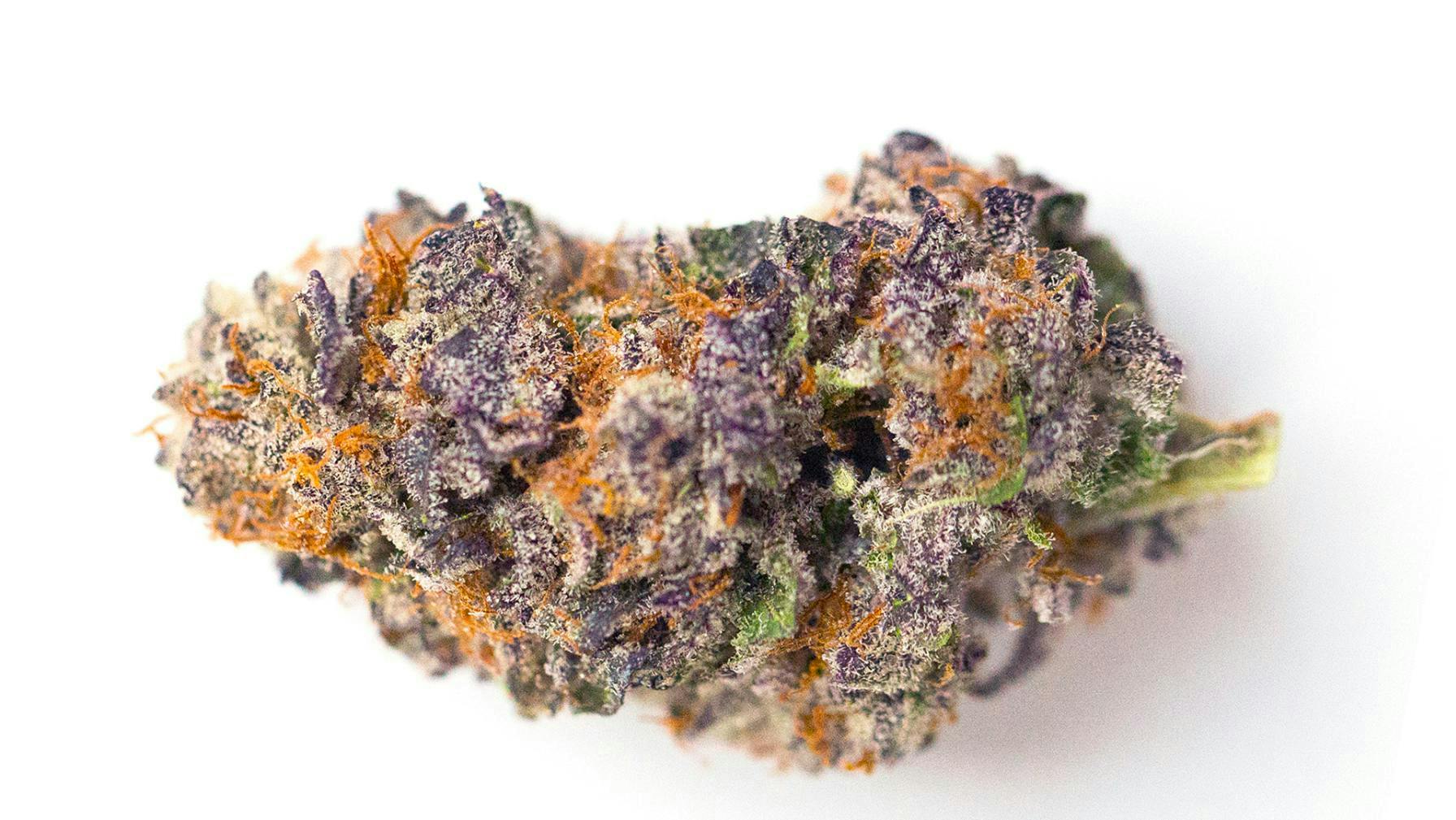 Airport Way - Pipe & Leaf THIRDSTATE THURSDAY: $25 EIGHTHS