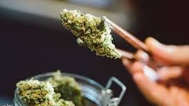 Airport Way - Pipe & Leaf DELI FRIDAY: 10% OFF DELI