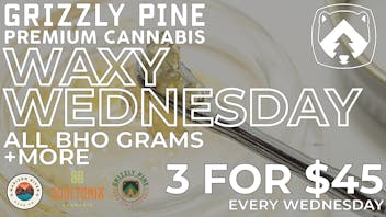 Grizzly Pine - Hamilton Wax Wednesday