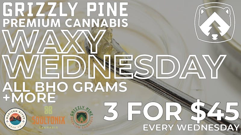 Grizzly Pine - Kalispell Wax Wednesday