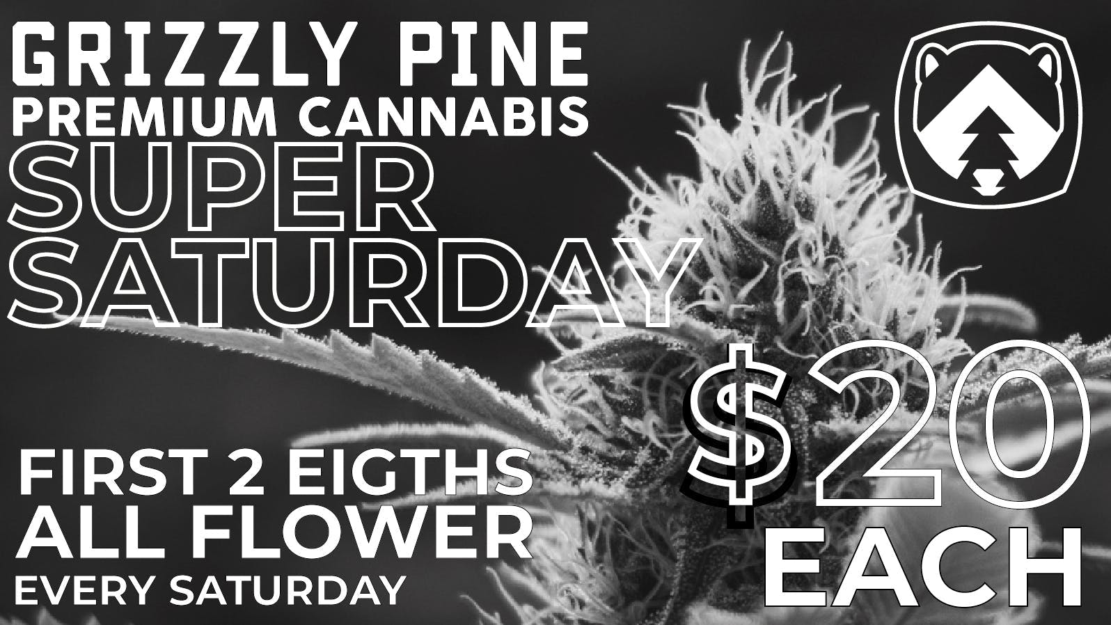 Grizzly Pine - Kalispell Super Saturday.