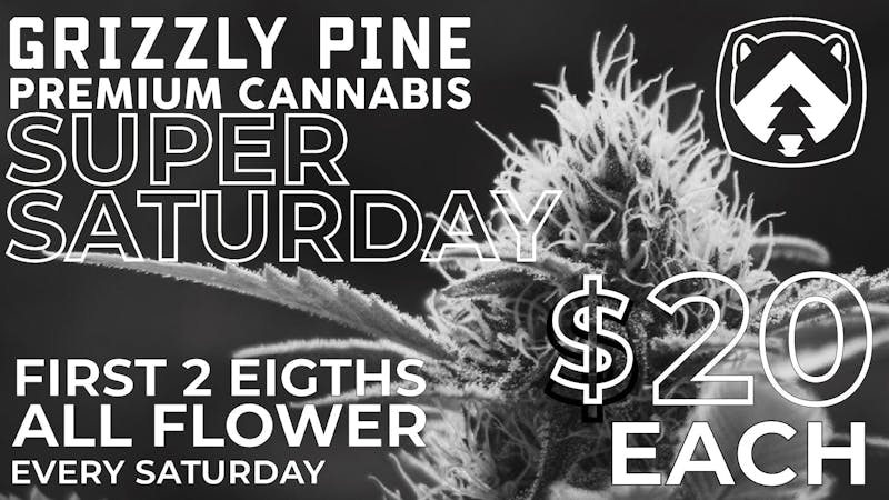 Grizzly Pine - Helena Super Saturday.
