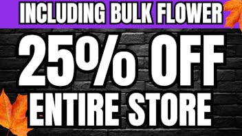 The Cake House - Battle Creek TCH Battle Creek Halloween % Off!