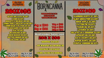 Bonsai Cannabis Collection Silver Tier🥈 y Golden Tier 🥇