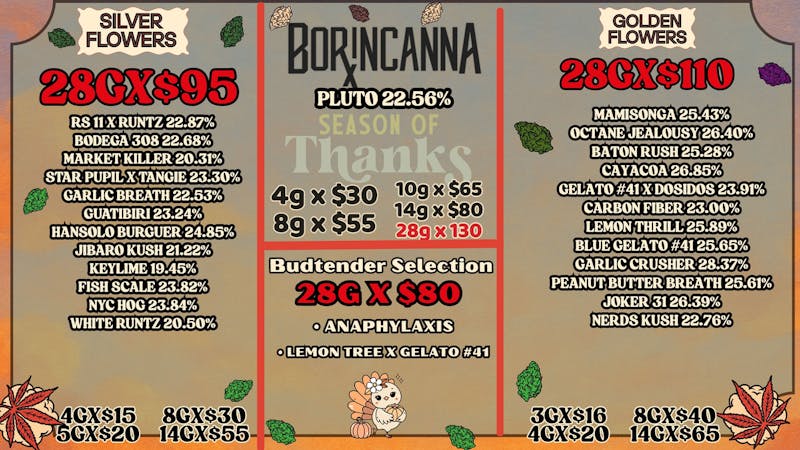 Bonsai Cannabis Collection Silver Tier🥈 y Golden Tier 🥇