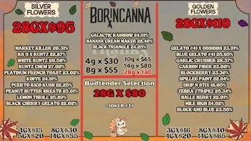 Bonsai Cannabis Collection Silver Tier🥈 y Golden Tier 🥇