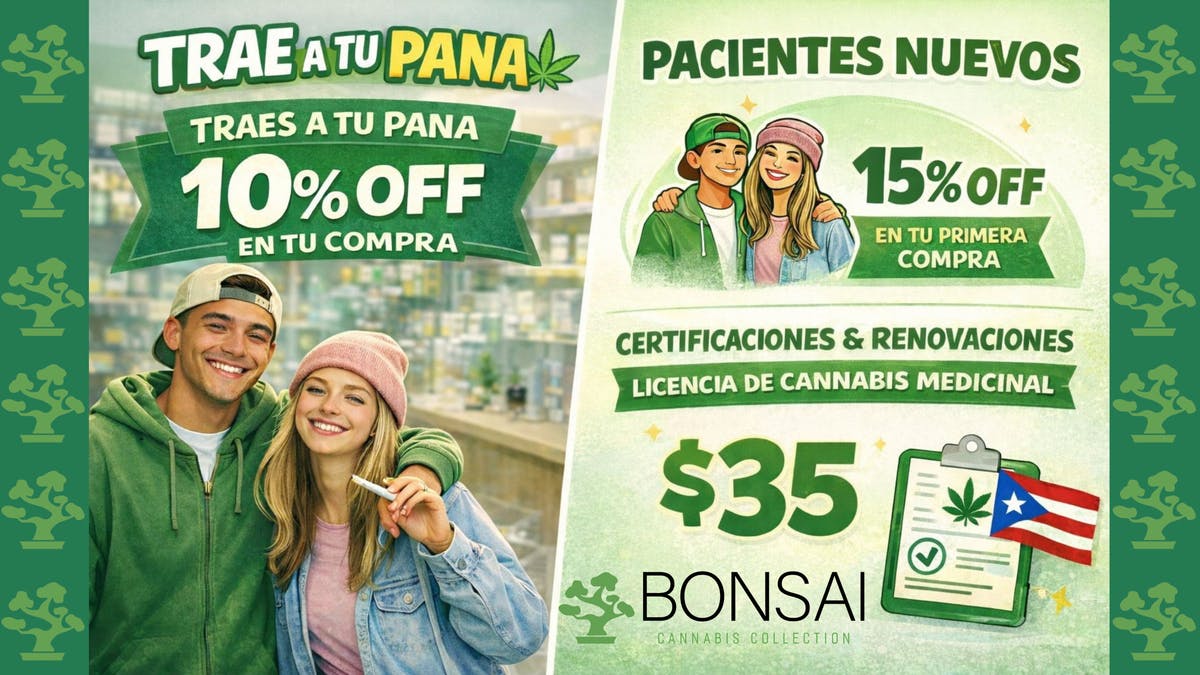 Bonsai Cannabis Collection TRAE A TU PANA 🌿