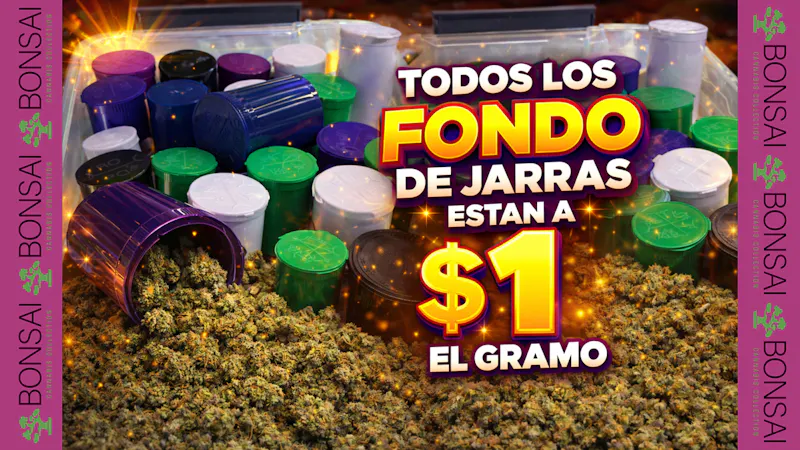 Bonsai Cannabis Collection 👀TODOS LOS FONDO DE JARRAS A $1 👀