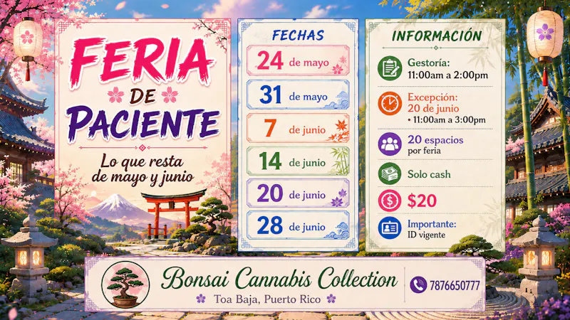 Bonsai Cannabis Collection CERT. & Renovacion a $20 🍁🍁🍁