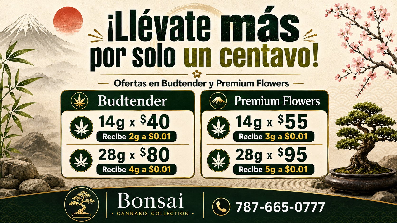 Bonsai Cannabis Collection 🌿Llévate más por un chavito🌿