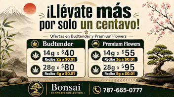 Bonsai Cannabis Collection 🌿Llévate más por un chavito🌿