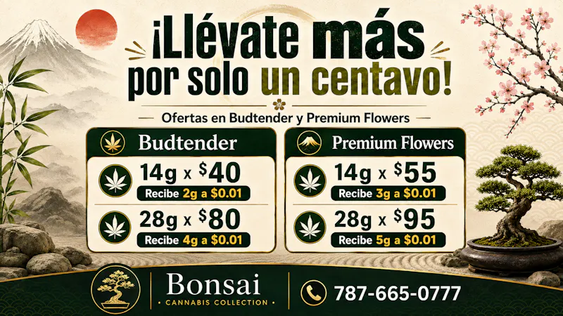 Bonsai Cannabis Collection 🌿Llévate más por un chavito🌿