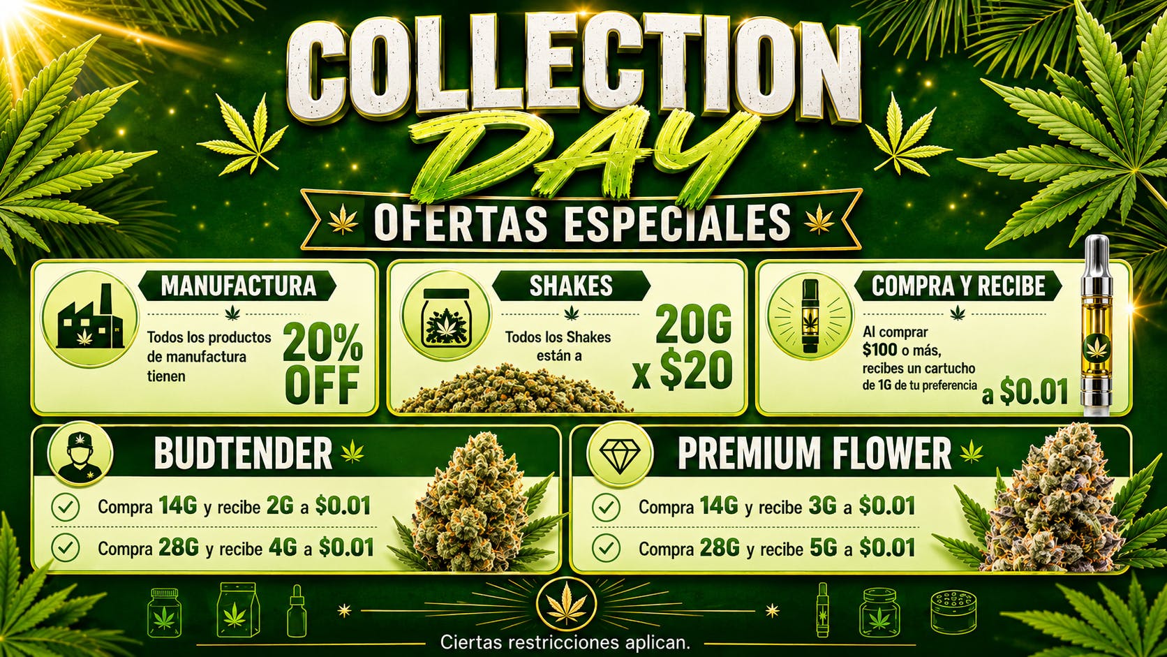 Bonsai Cannabis Collection 💥COLLECTION DAY💥
