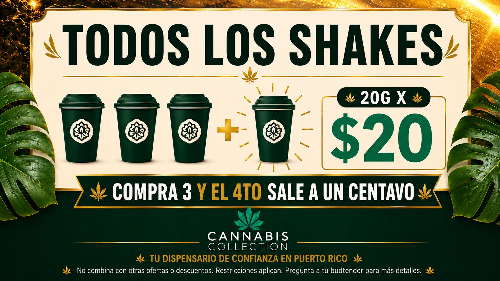Bonsai Cannabis Collection 🔥Compra 3 & el 4to Te sale a $0.01🤝