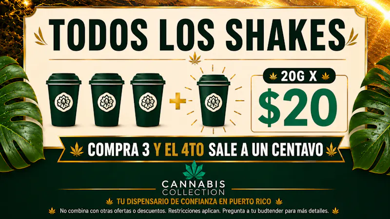 Bonsai Cannabis Collection 🔥Compra 3 & el 4to Te sale a $0.01🤝