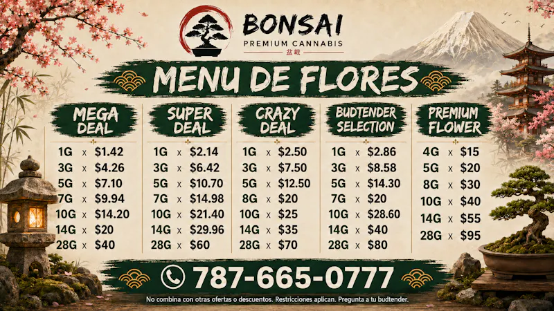Bonsai Cannabis Collection 🚨 ¡Descubre nuestros precios! 💜