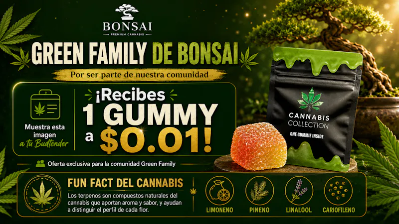 Bonsai Cannabis Collection 🌿💚 ¡GREEN FAMILY DE BONSAI! 💚🌿