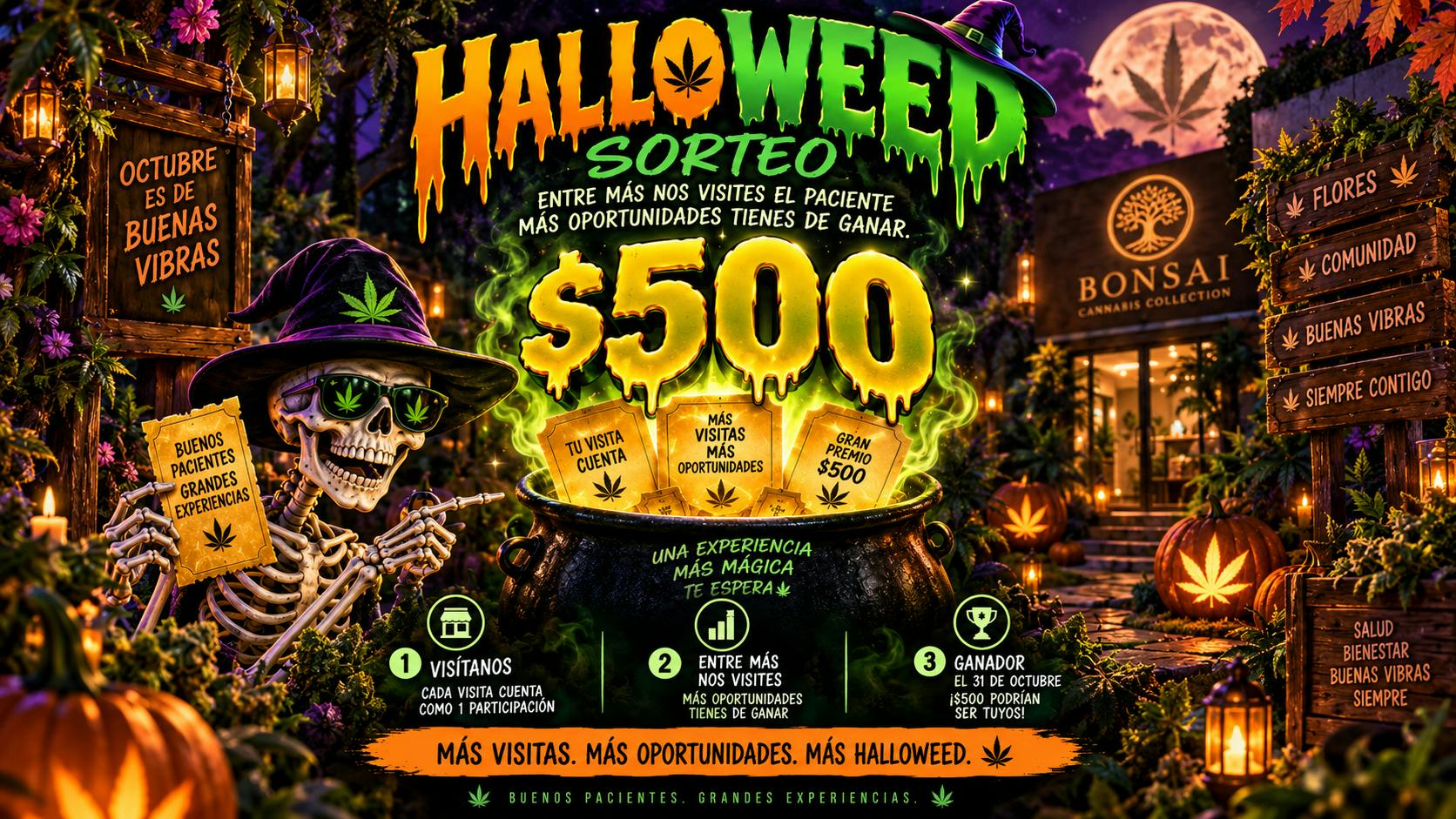 Bonsai Cannabis Collection 🍬🧛Sorteo de Halloweed 🧛🍬