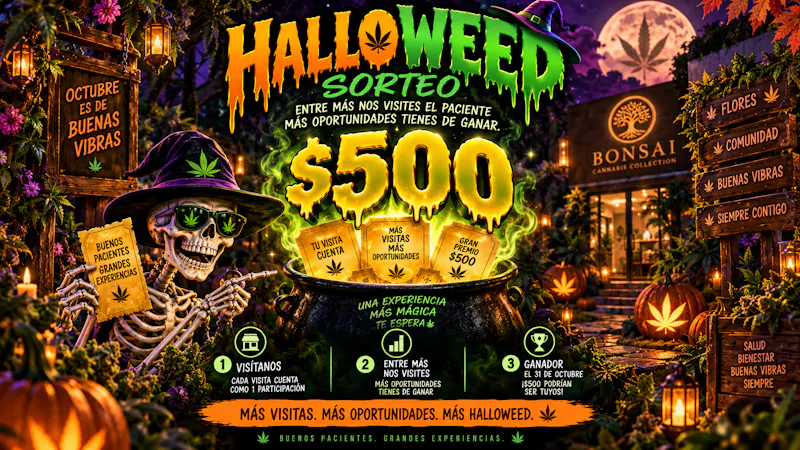 Bonsai Cannabis Collection 🍬🧛Sorteo de Halloweed 🧛🍬