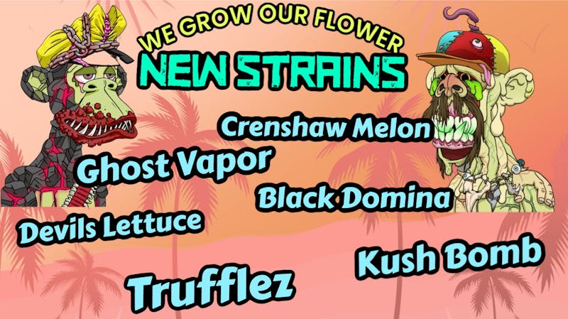 High Rollers 🚨🚨🤩STIIIIZY DEAL 🤩🚨🚨