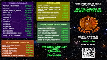 Planet Jane - The Only Place To Get Yours Planet Jane Thanksgiving Sale 11/26 - 11/28