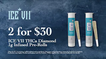 Good Day Farm - East Sunshine Limited Time! 2 for $30 Diamond Infused Pre-Rolls
