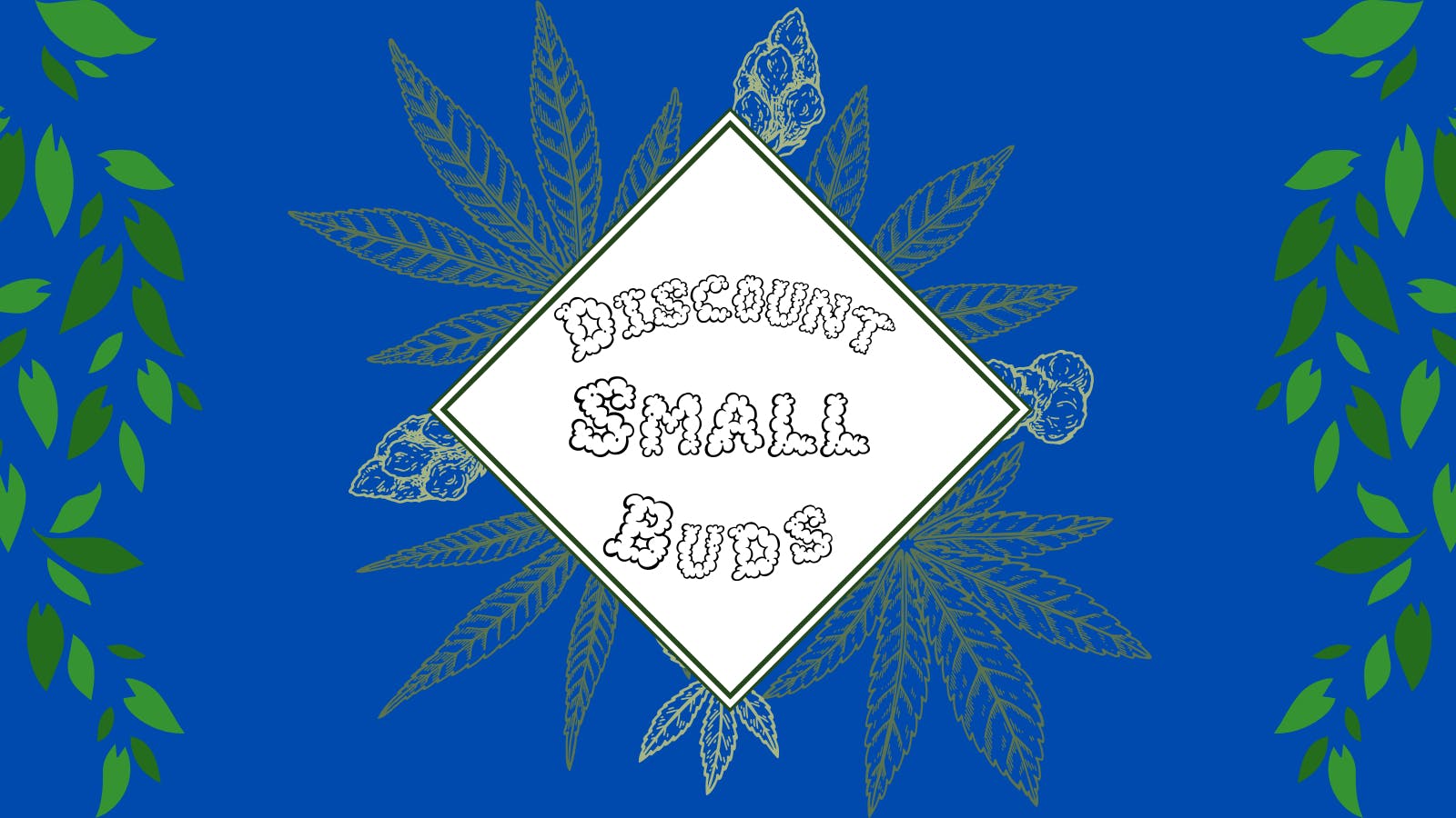 Bills Herbal Care Discounted Small Buds are back!