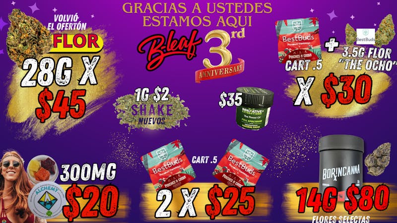 B-Leaf ofertas de ANIVERSARIO ☺