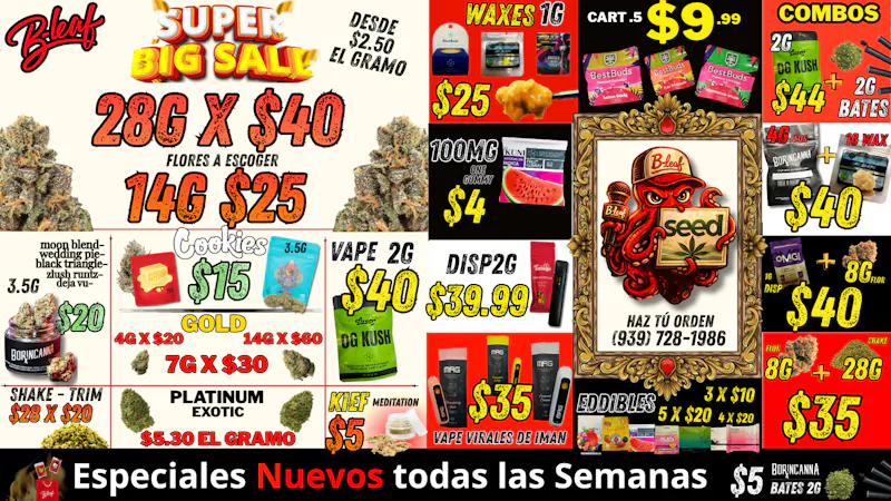 B-Leaf eres especial para nosotros